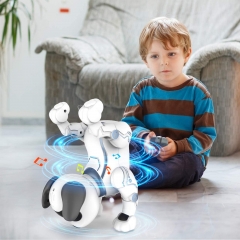 ROBOT DOG