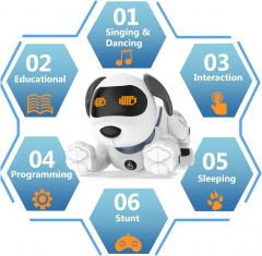 ROBOT DOG